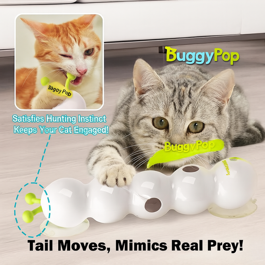BuggyPop