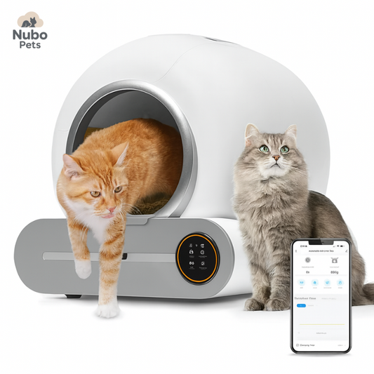 Smart Self-Cleaning Litter Box for Cats – App Controlled Automatic Litter Box
