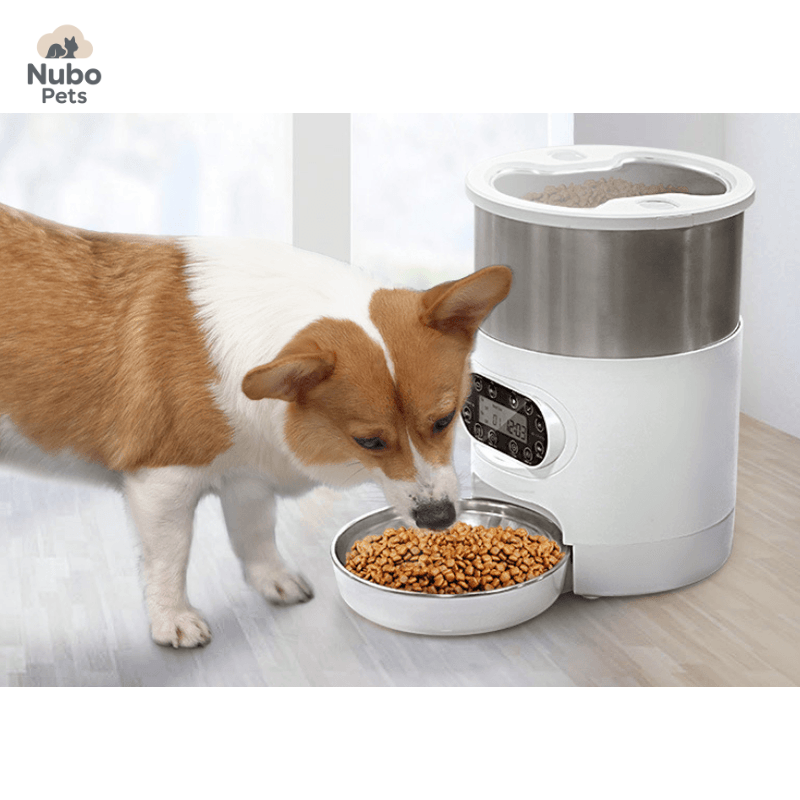 Smart Feeding Station for Dogs & Cats