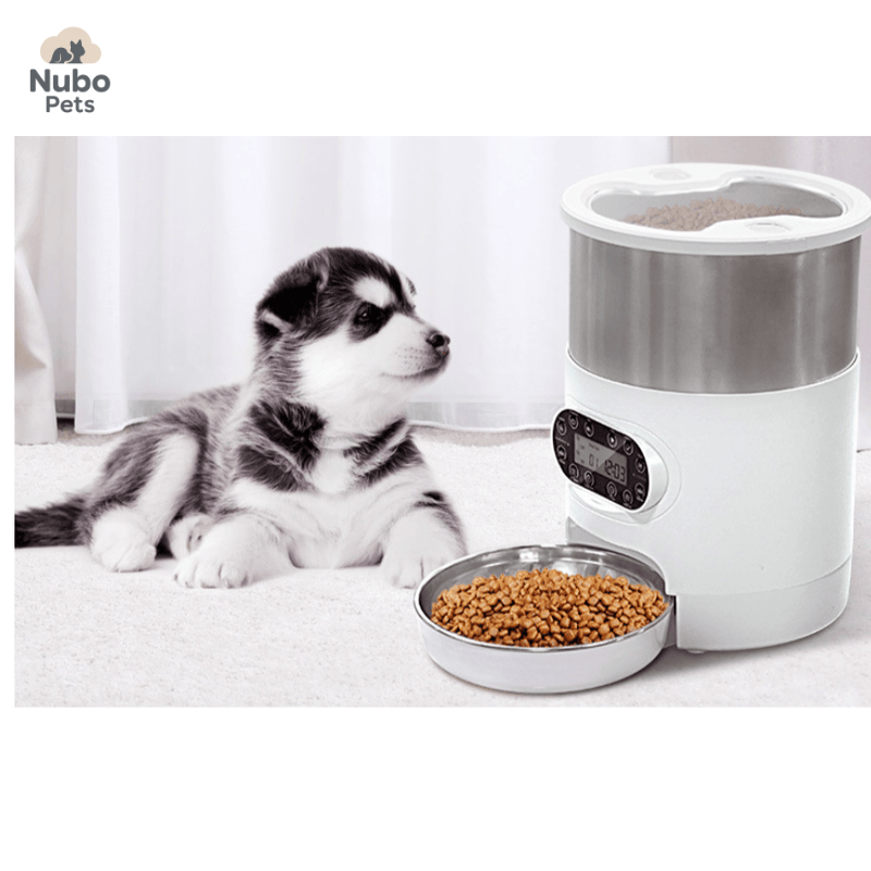 Smart Feeding Station for Dogs & Cats
