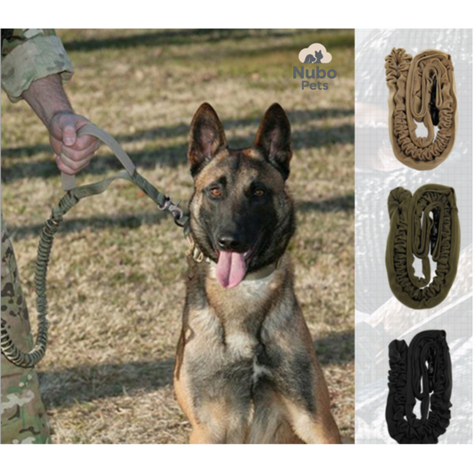 Tactical K9 Bungee Leash